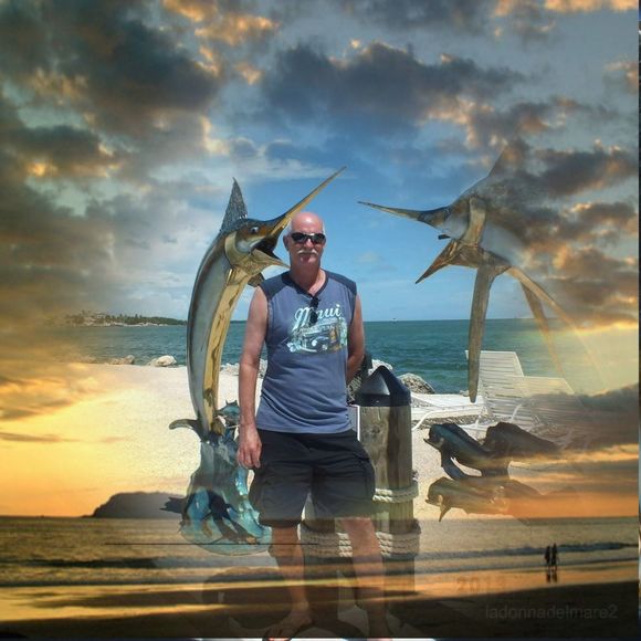 Meet your Posher, Richard - Picture 1 of 1